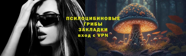 a pvp Алексин
