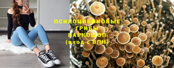 a pvp Алексин