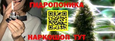 ПСИЛОЦИБИНОВЫЕ ГРИБЫ Новозыбков
