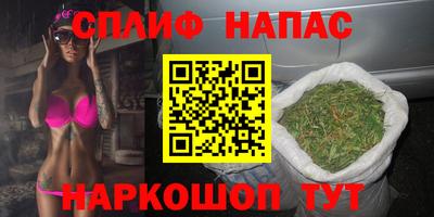 mdpv Новодвинск