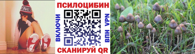 Псилоцибиновые грибы ЛСД сколько стоит Томск